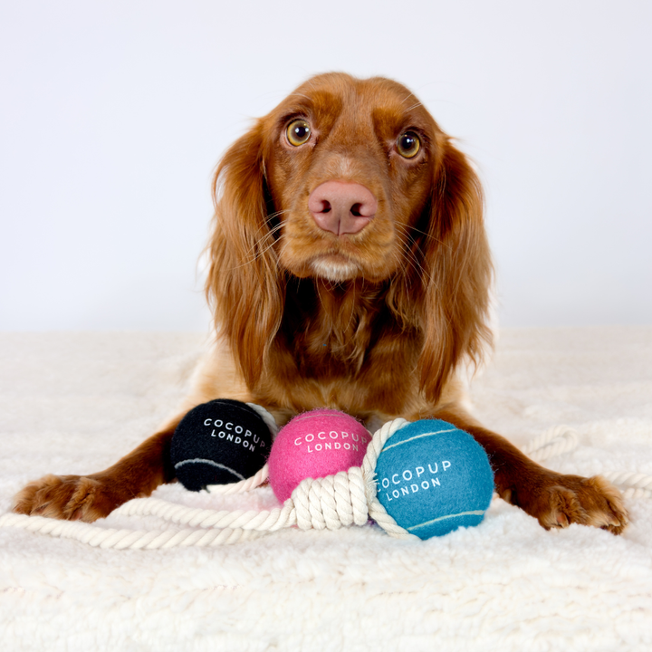 Rope Tennis Ball - Blue