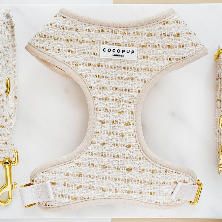 Vanilla Textured Tweed Adjustable Neck Harness, Lead & Collar Bundle