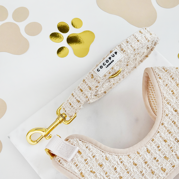Vanilla Textured Tweed Adjustable Neck Harness, Lead & Collar Bundle
