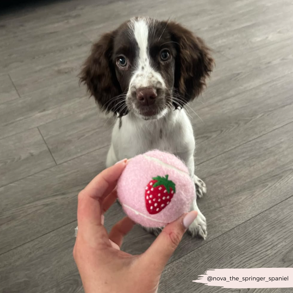 Embroidered Tennis Ball - Strawberry