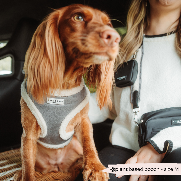 Grey Aviator Adjustable Neck Harness, Lead & Collar Bundle