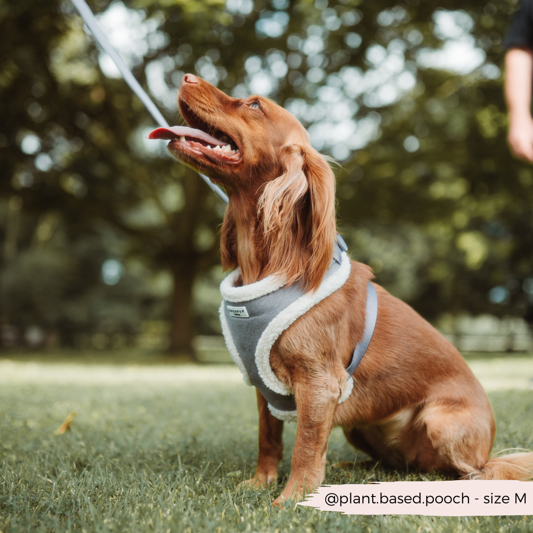 Grey Aviator Adjustable Neck Harness