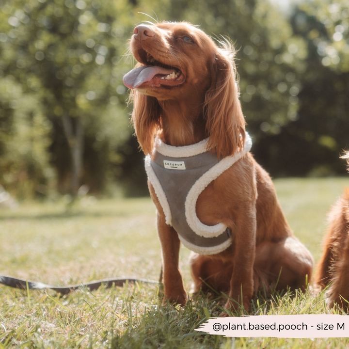 Grey Aviator Adjustable Neck Harness