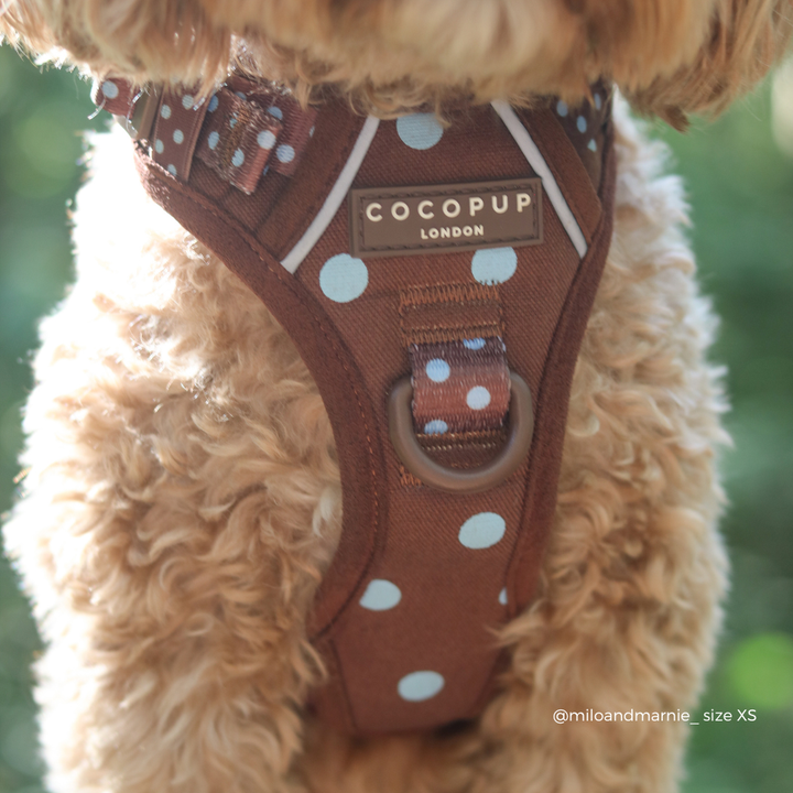 A close-up of a brown dog harness with white blue dots worn by a fluffy light brown dog. The harness features a brown patch with the brand name 'COCOPUP LONDON' and a D-ring.
