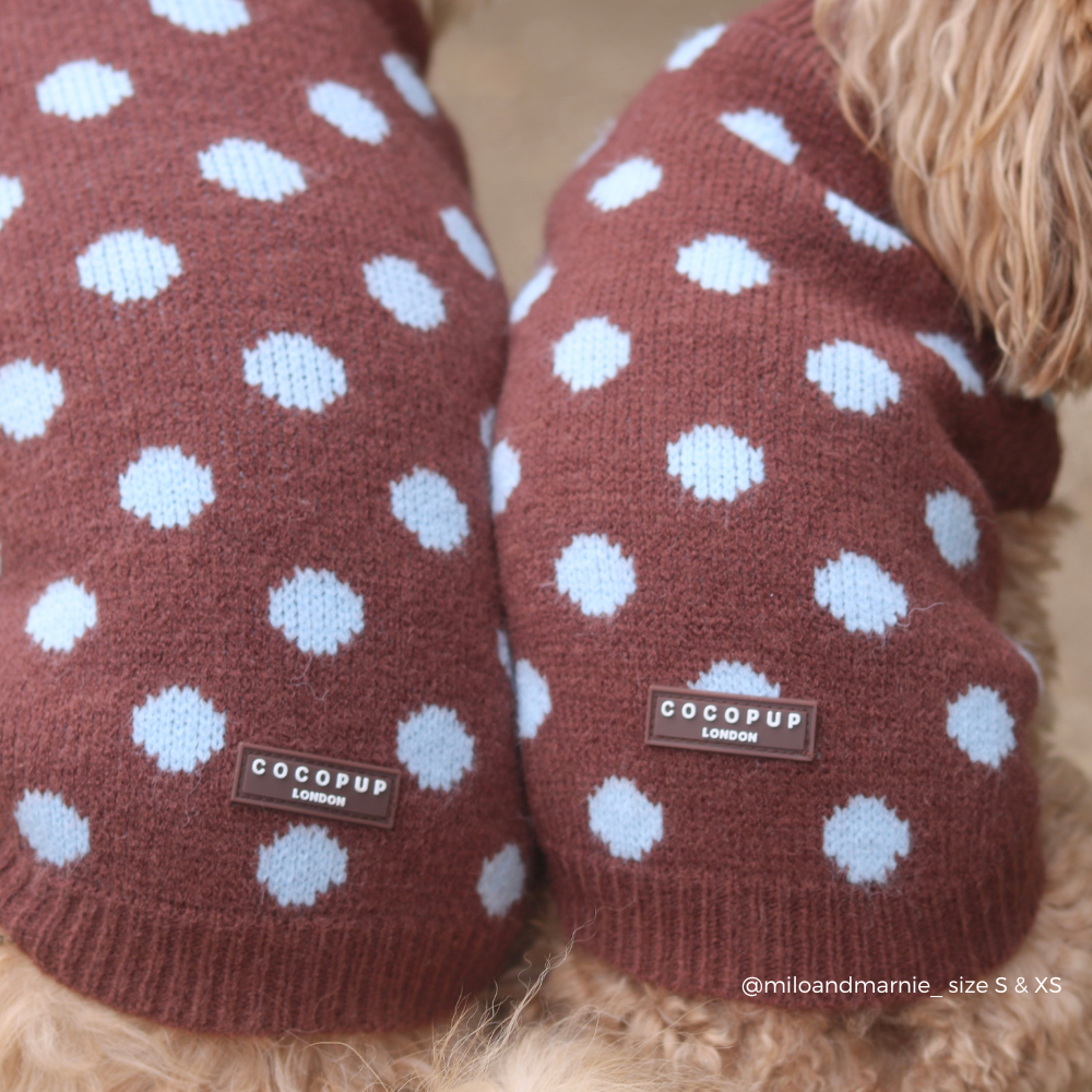 Close-up of two dogs wearing a brown knit sweater with large white blue dots. Two small labels on the front read COCOUP London.
