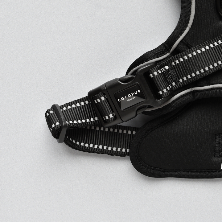 Explore Harness - NAKD Liquorice