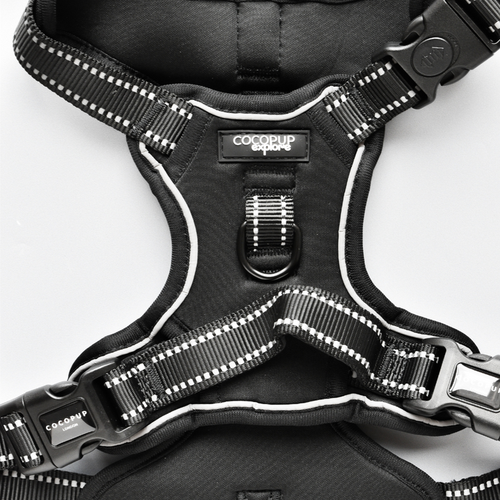 Explore Harness - NAKD Liquorice