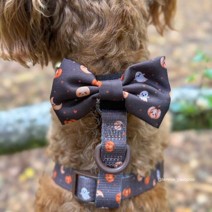 A close-up of a brown curly-haired dog wearing a dark brown Halloween-themed fabric bow tie and matching harness with orange pumpkins, white ghosts, and small orange dots, outdoors on a blurred forest floor background.