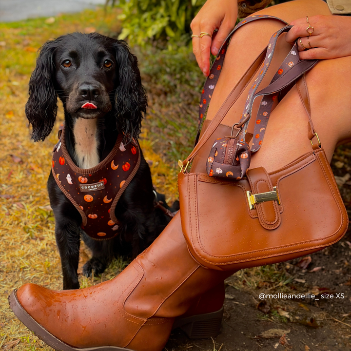 A brown leather crossbody bag with a matching patterned strap is shown being worn by a person sitting outdoors, with a black dog wearing a matching harness sitting beside them on grass.