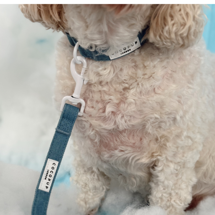 Cloud Nine Adjustable Neck Harness, Lead & Collar Bundle