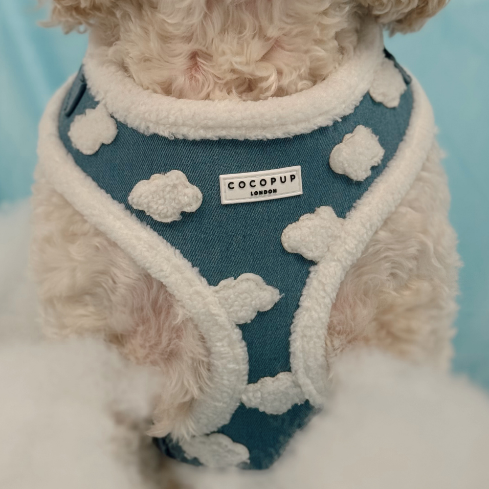 Cloud Nine Adjustable Neck Harness, Lead & Collar Bundle