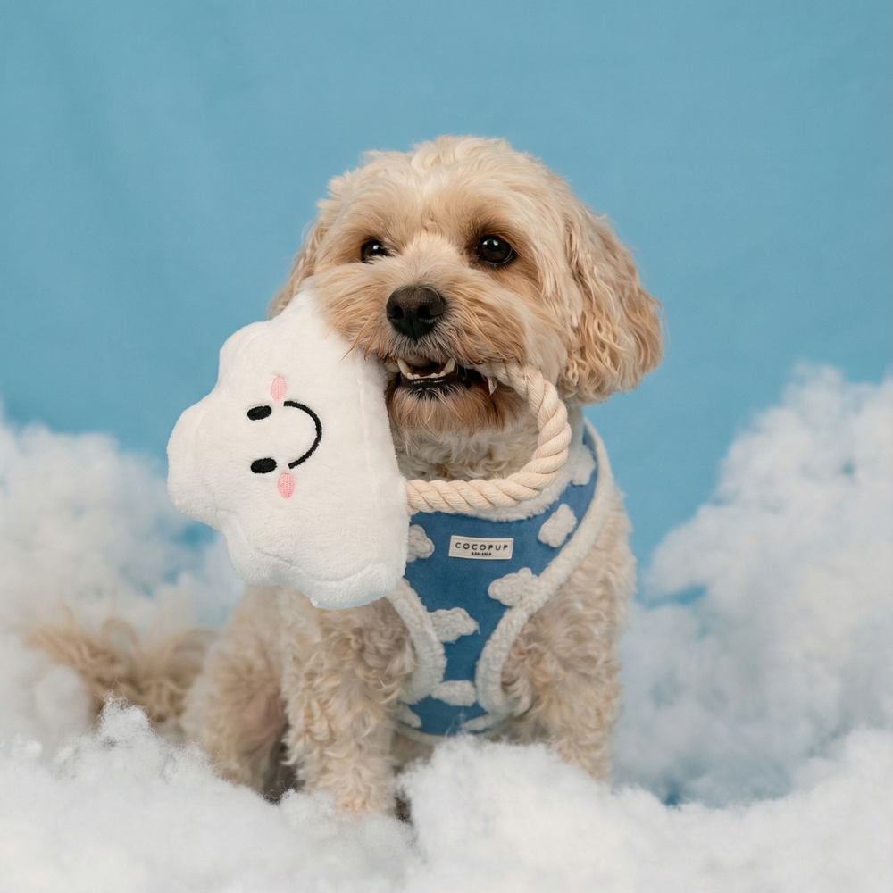 Clemmie the Cloud Dog Toy