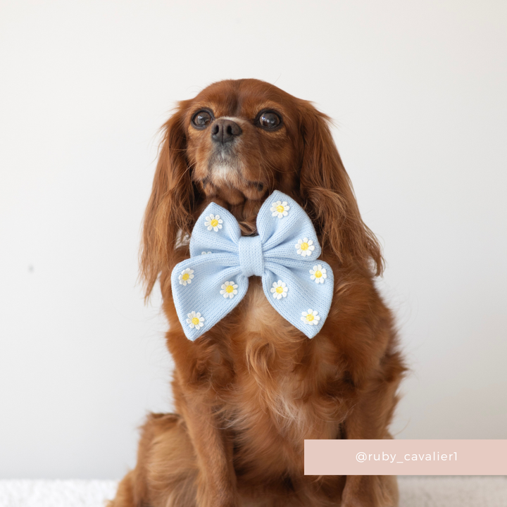 Blue Daisy Dream Sailor Bow Tie