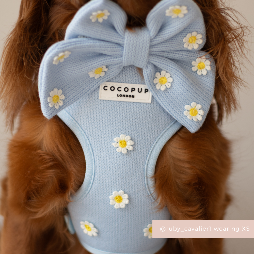 Blue Daisy Dream Sailor Bow Tie