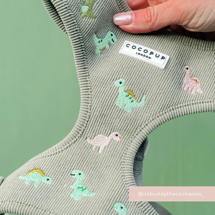 Dino Doodles Adjustable Neck Harness, Lead & Collar Bundle