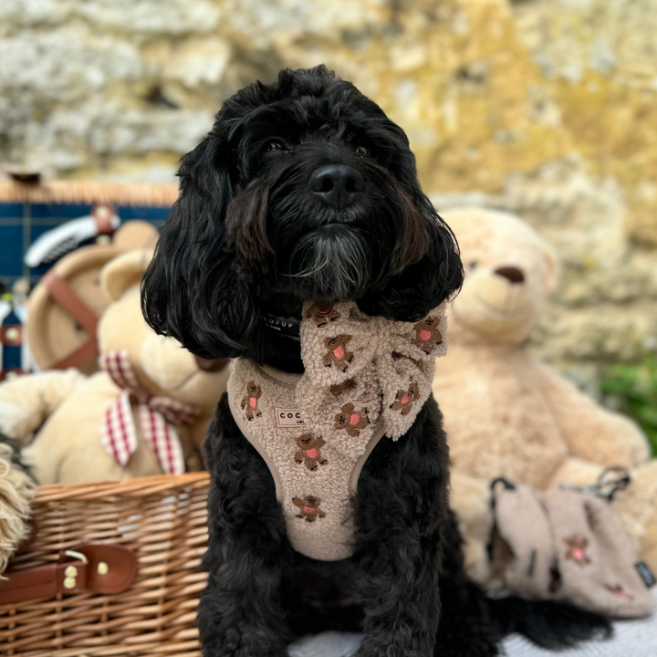 Theo Embroidered Teddy Adjustable Neck Harness