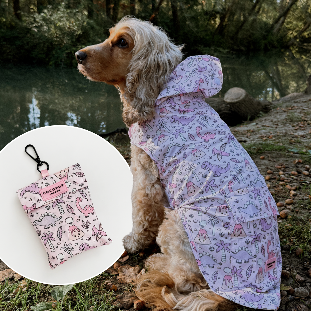 Dog wears green dinosaur-pattern Cocopup London raincoat by a river; matching pouch displayed in inset.