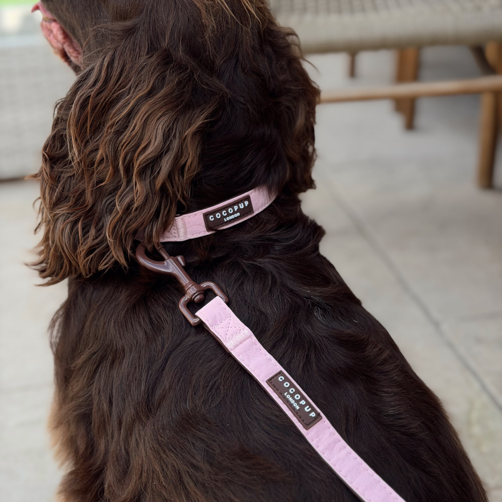 A close-up lifestyle shot of a dark brown long-haired dog wearing a light pink collar and matching leash strap with a clip. The collar and strap feature a black label with the brand name 'cocopup london' in white text.
