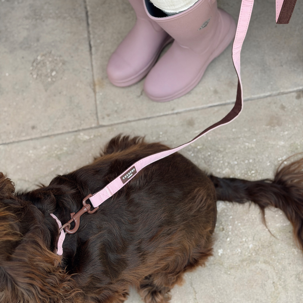 A close-up lifestyle shot of a dark brown long-haired dog wearing a pink collar and matching pink leash, with a person's pink rain boots visible in the background on a stone pavement.