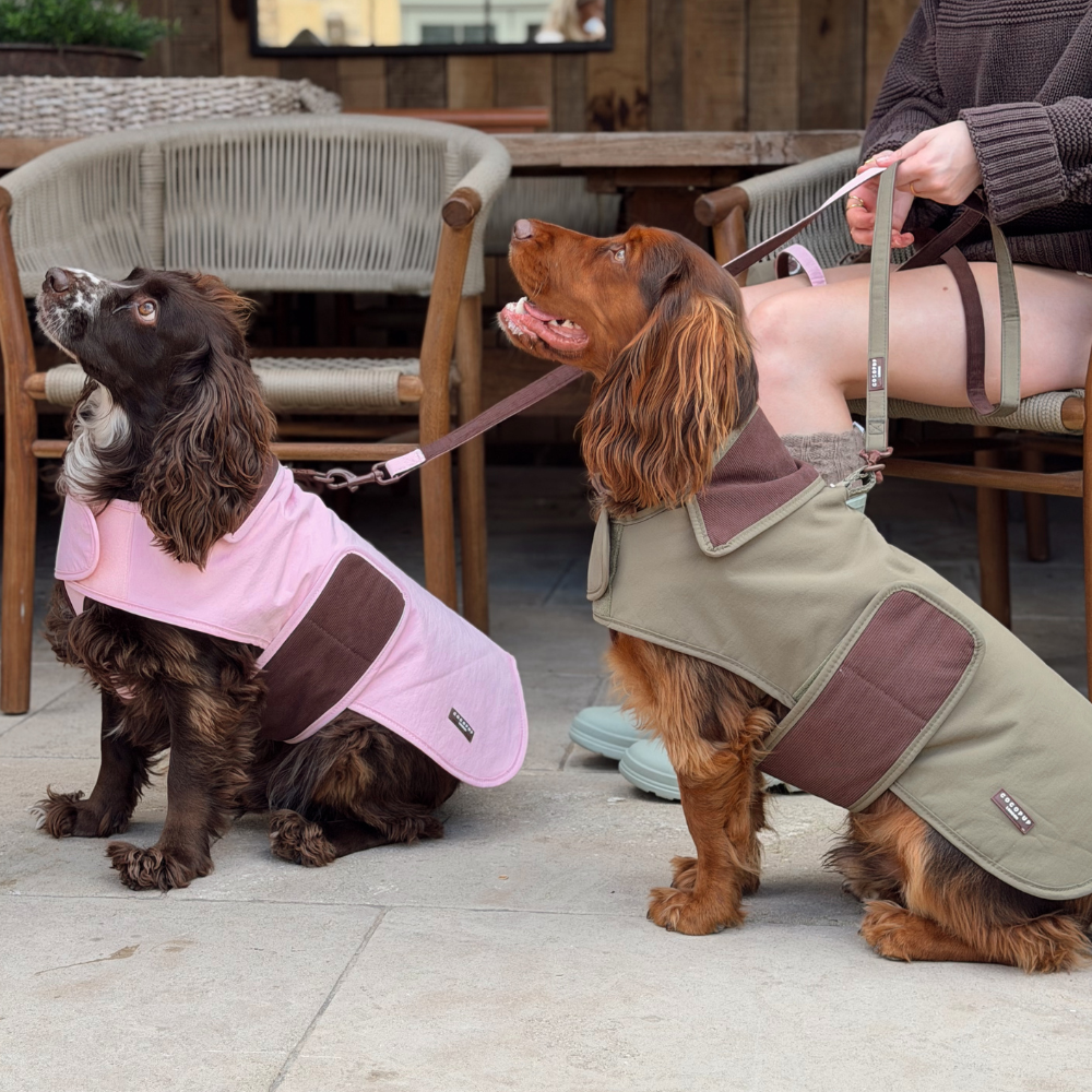 Two dogs wearing dog jackets in an outdoor patio setting. One dog wears a light pink dog jacket, and the other wears an olive green dog jacket with brown panels.