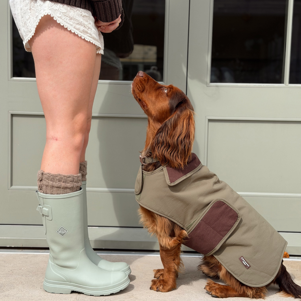 A brown dog wearing an olive green dog coat with dark brown patches looks up at a person's legs wearing light green rain boots in front of a gray door.