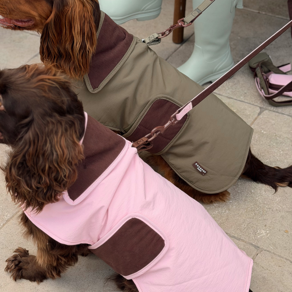 Two dogs wearing dog jackets on a stone patio. The dog in the foreground wears a light pink dog jacket with dark brown panels, while the dog behind wears an olive green dog jacket with dark brown panels.