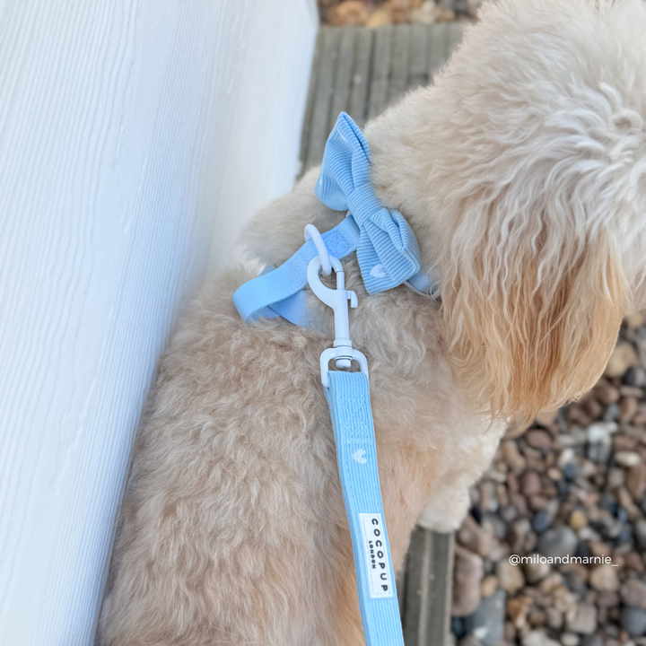 Blue Heartstrings Cord Lead