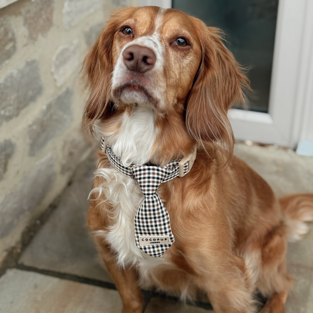 Heritage Check Dog Tie