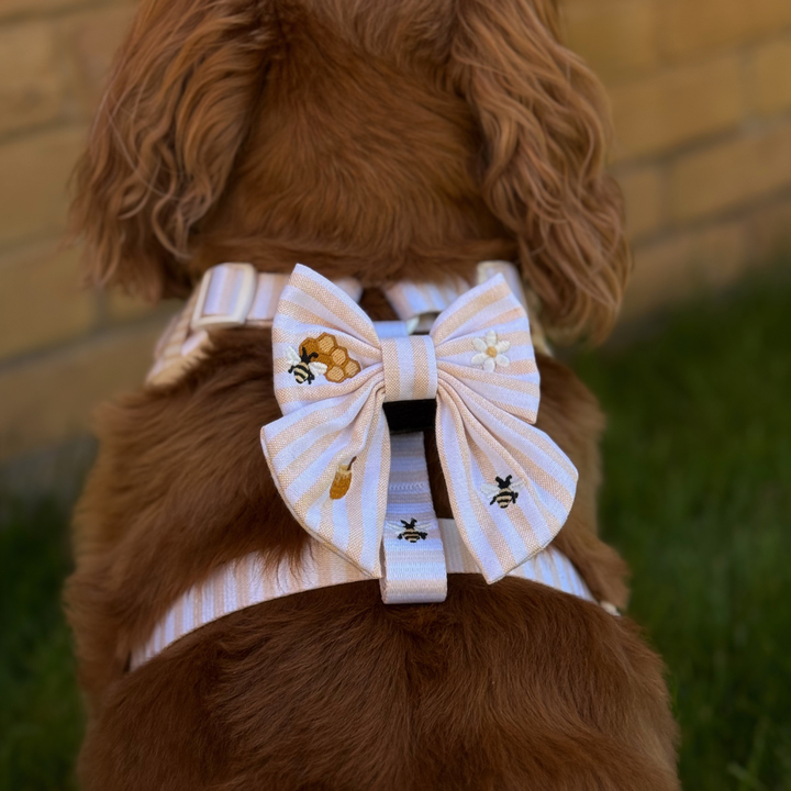Honey Meadow Sailor Bow Tie