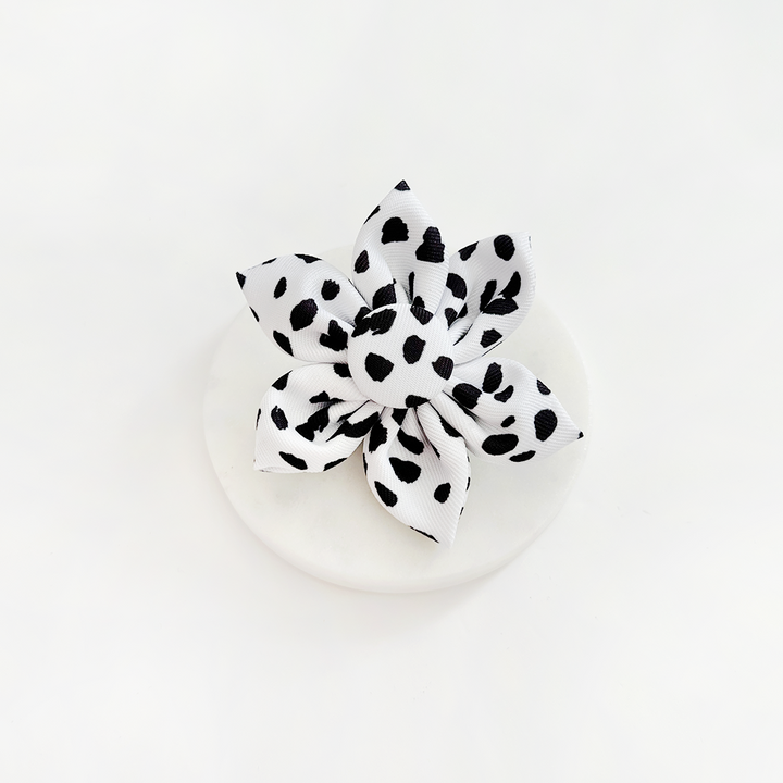 Monochrome Spots Collar Flower