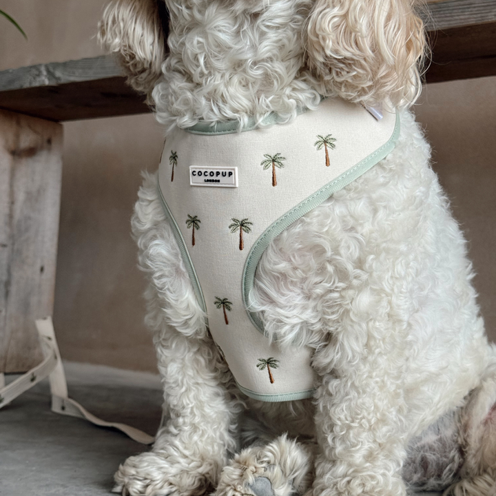 Palm Springs Adjustable Neck HARNESS