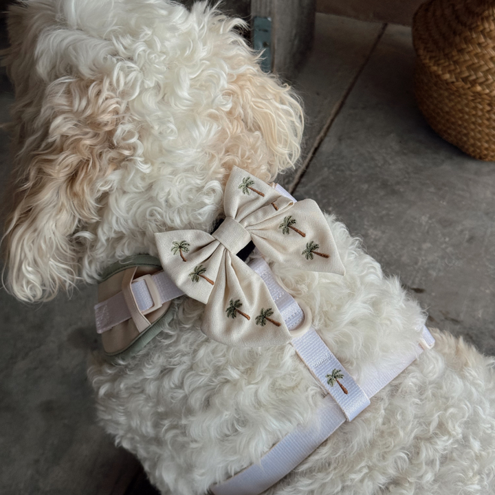 Palm Springs Sailor Bow Tie