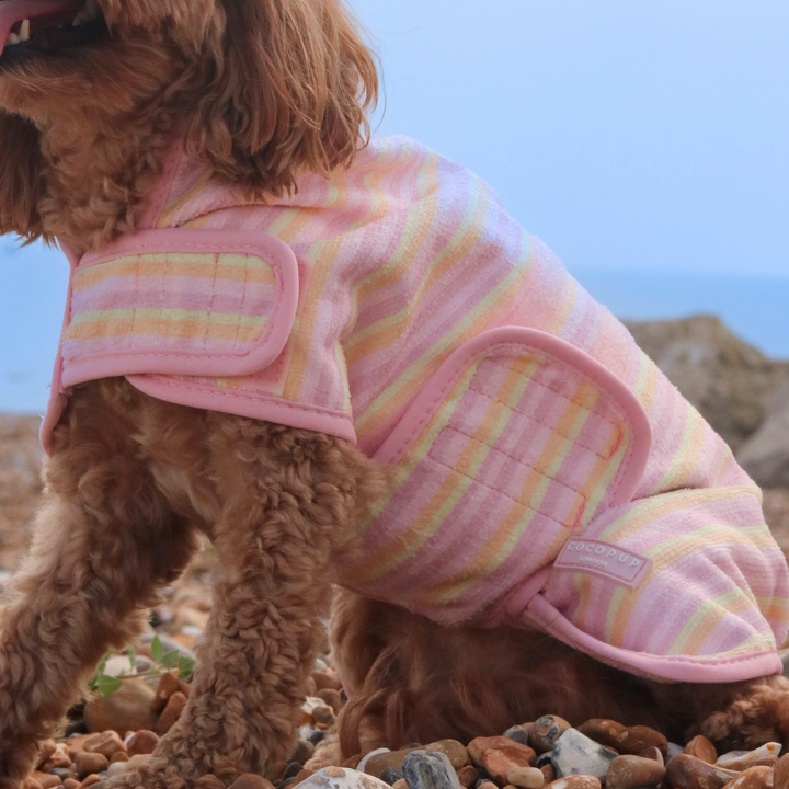 Pastel Stripes Drying Robe