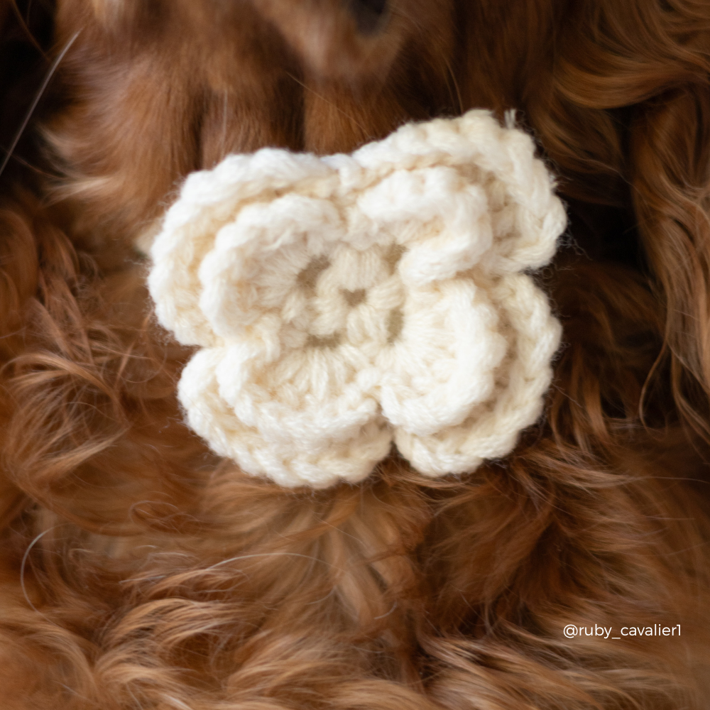 Petal Patch Collar Flower