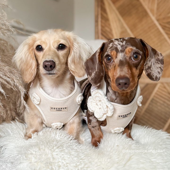 Petal Patch Adjustable Neck HARNESS