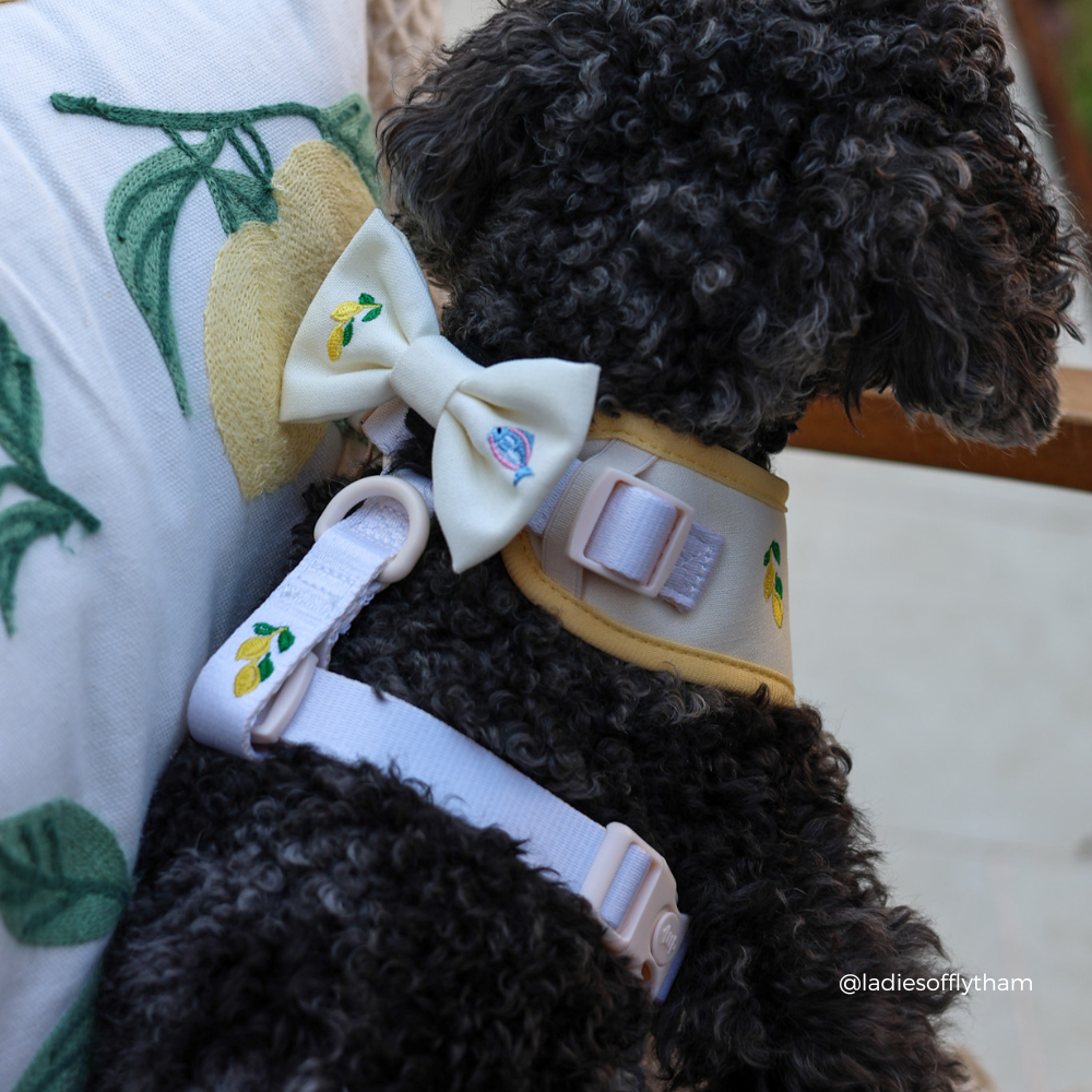 Picnic in Positano Bow Tie