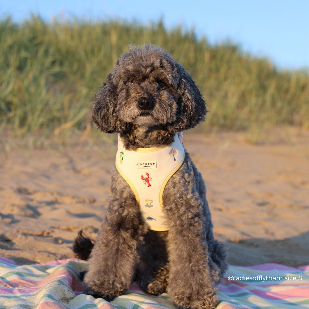 Picnic in Positano Adjustable Neck HARNESS