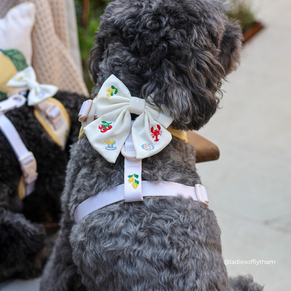Picnic in Positano Sailor Bow Tie