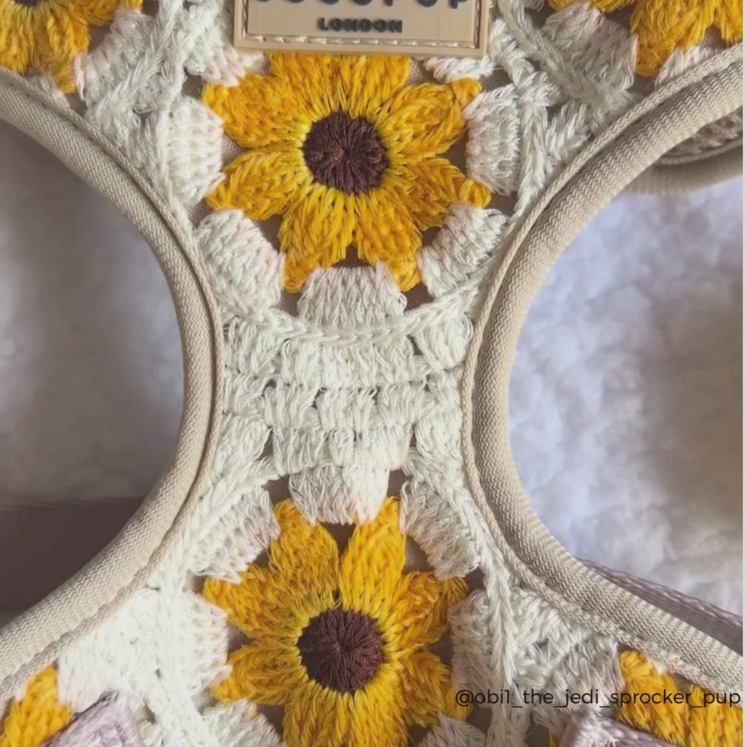 Sunflower Patch Adjustable Neck Harness