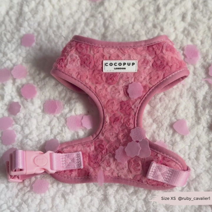 Peony Pup Adjustable Neck Harness