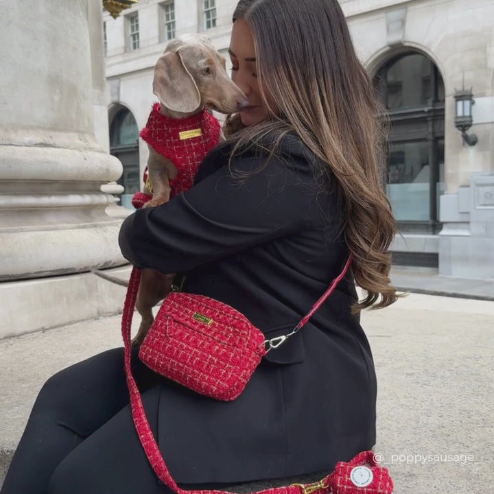 Red Textured Tweed Adjustable Neck Harness, Lead & Collar Bundle