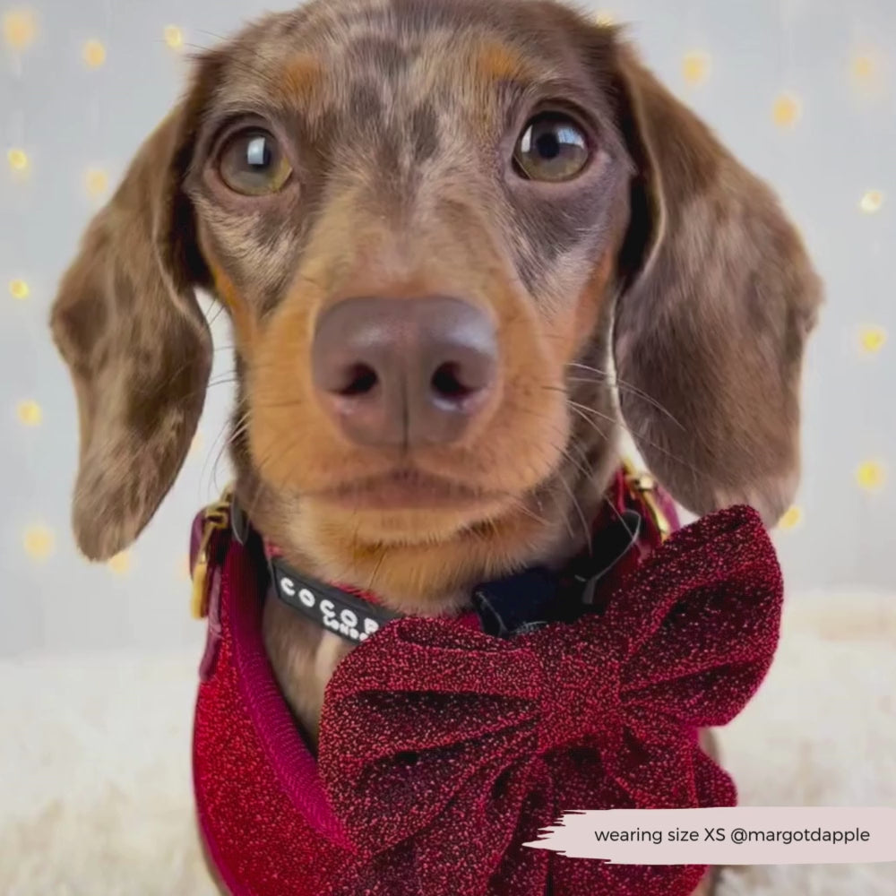 Limited Edition Burgundy Sparkle Pup Adjustable Neck Harness, Lead & Collar Bundle