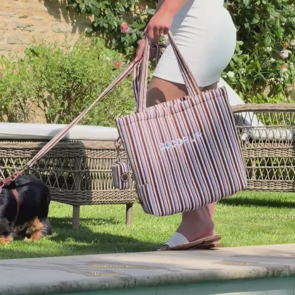 Tote Bag - Brown & Blue Stripes