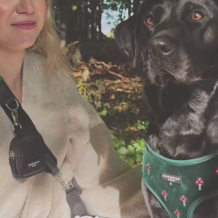 Toadstool Trails Adjustable Neck HARNESS