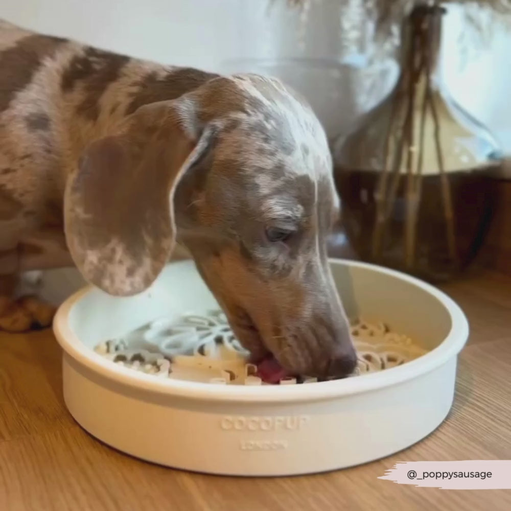 Silicone Slow Feed Dog Bowl - Cream Flowers