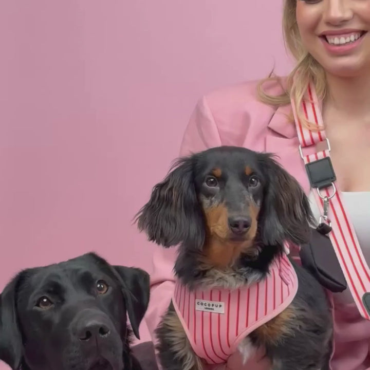 Bag Strap - Candy Stripe