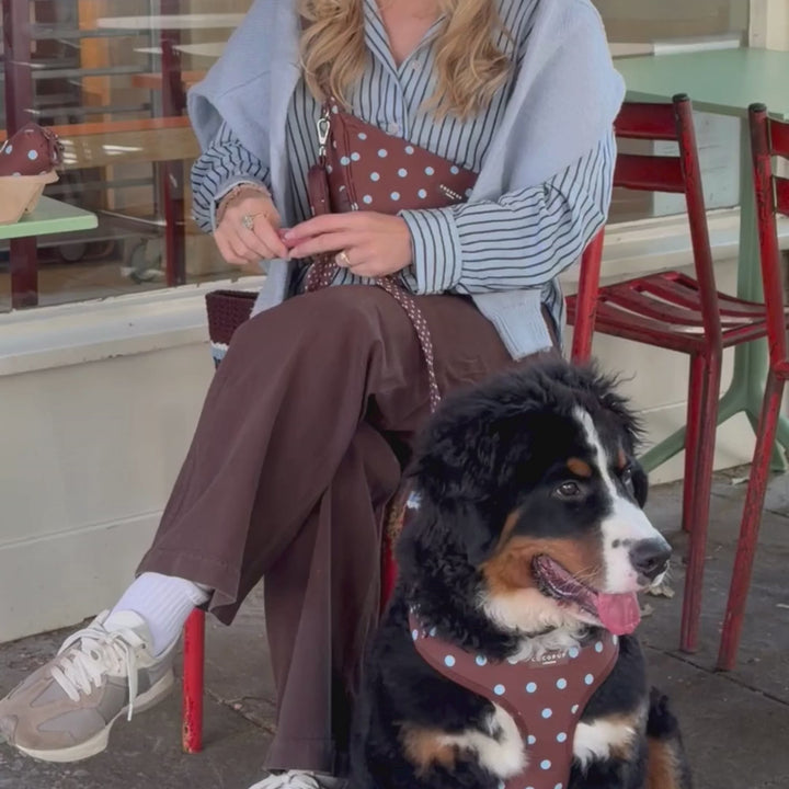 A person wearing a brown and blue polka dot crossbody bag and matching pouch, holding a coffee cup outdoors next to a black dog.