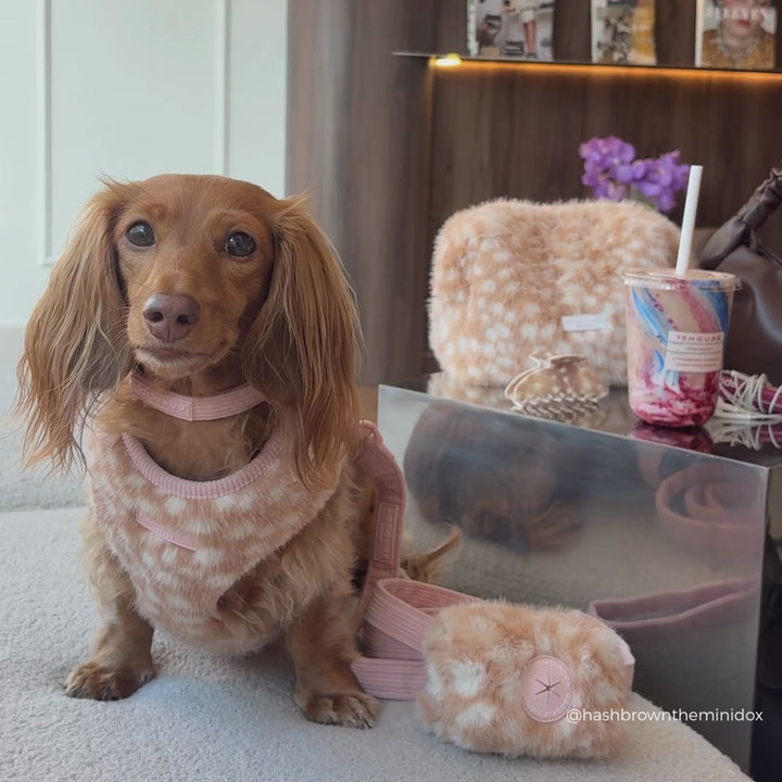Pink Cord COLLAR