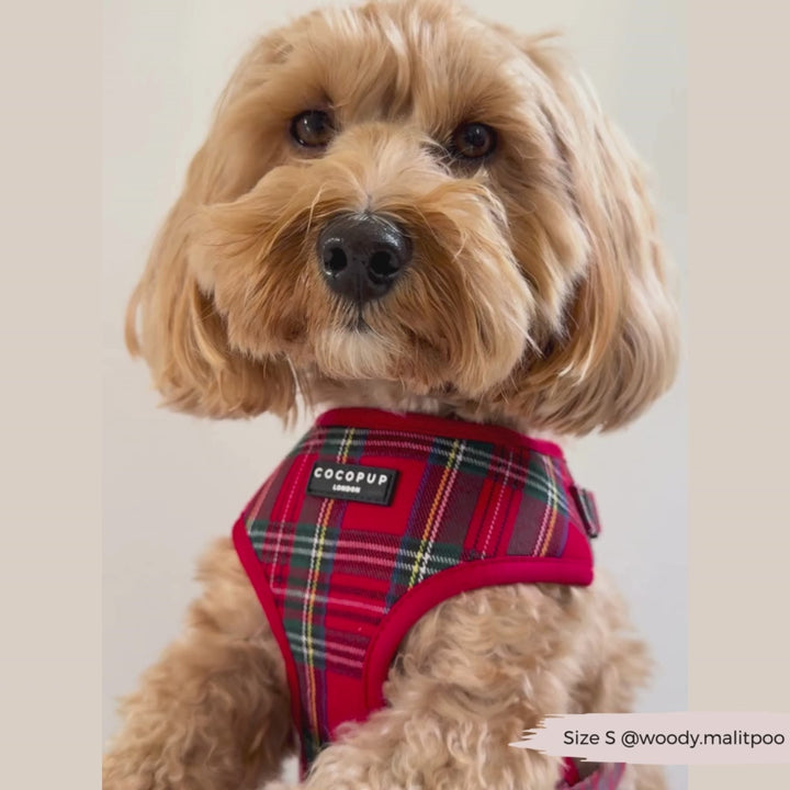 Tartan Adjustable Neck Harness