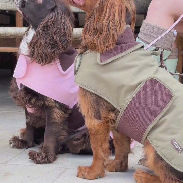 Two dogs wearing dog jackets in an outdoor patio setting. One dog wears a light pink dog jacket, and the other wears an olive green dog jacket with brown panels.